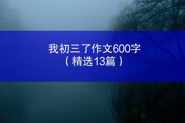 我初三了作文600字（精选13篇）