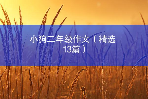 小狗二年级作文（精选13篇）