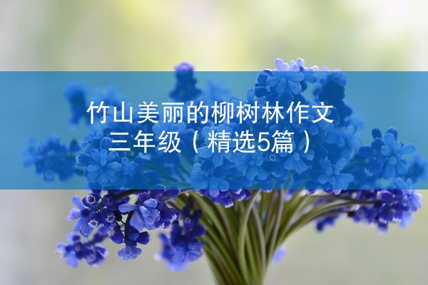 竹山美丽的柳树林作文三年级（精选5篇）