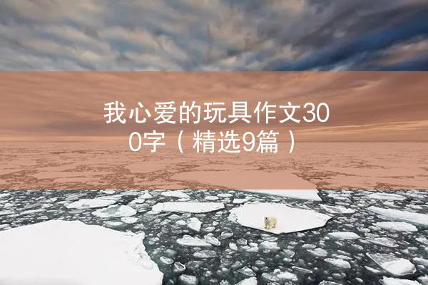 我心爱的玩具作文300字（精选9篇）