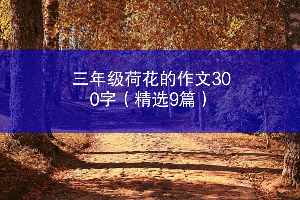 三年级荷花的作文300字（精选9篇）