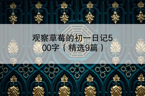 观察草莓的初一日记500字（精选9篇）