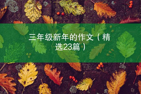 三年级新年的作文（精选23篇）