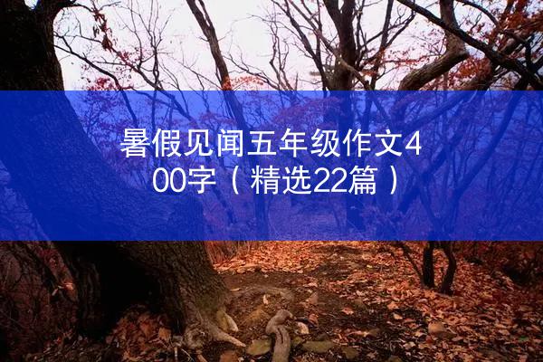 暑假见闻五年级作文400字（精选22篇）