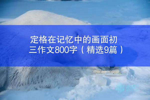 定格在记忆中的画面初三作文800字（精选9篇）