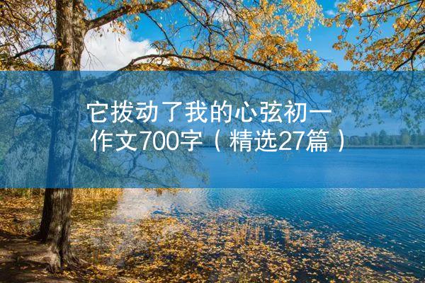 它拨动了我的心弦初一作文700字（精选27篇）