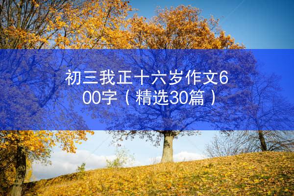 初三我正十六岁作文600字（精选30篇）