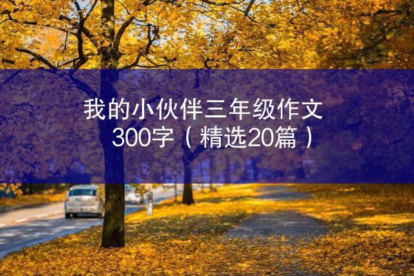 我的小伙伴三年级作文300字（精选20篇）