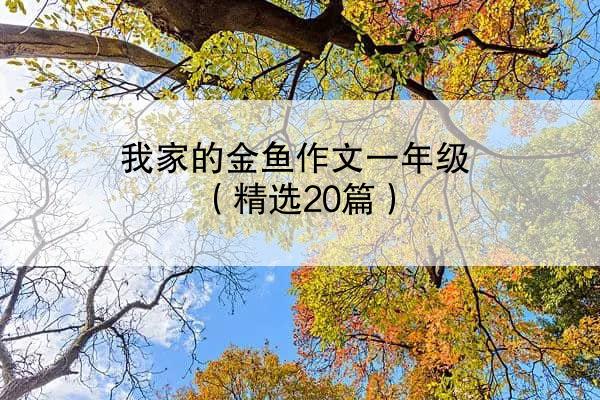 我家的金鱼作文一年级（精选20篇）