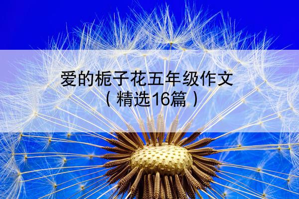 爱的栀子花五年级作文（精选16篇）