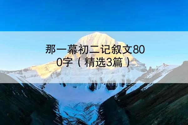 那一幕初二记叙文800字（精选3篇）