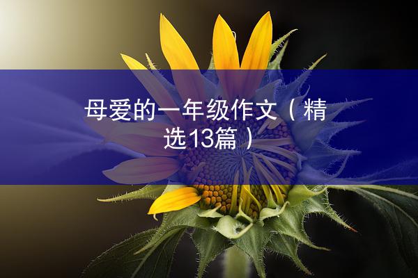 母爱的一年级作文（精选13篇）