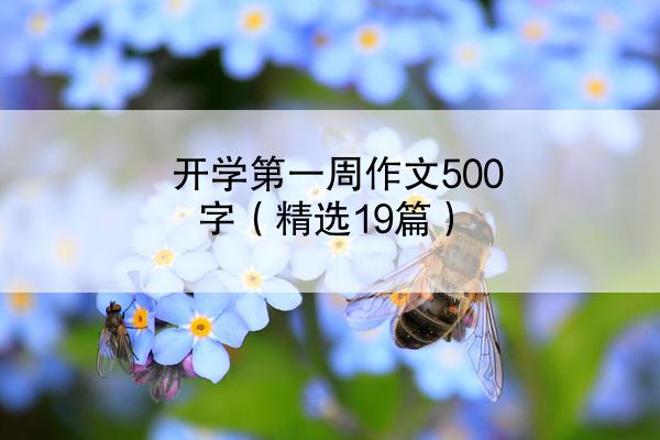 开学第一周作文500字（精选19篇）