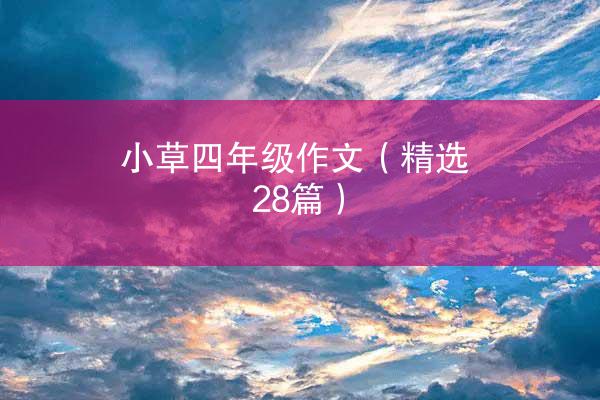 小草四年级作文（精选28篇）