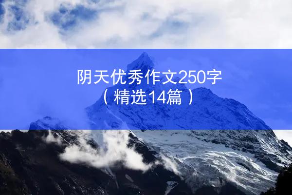 阴天优秀作文250字（精选14篇）