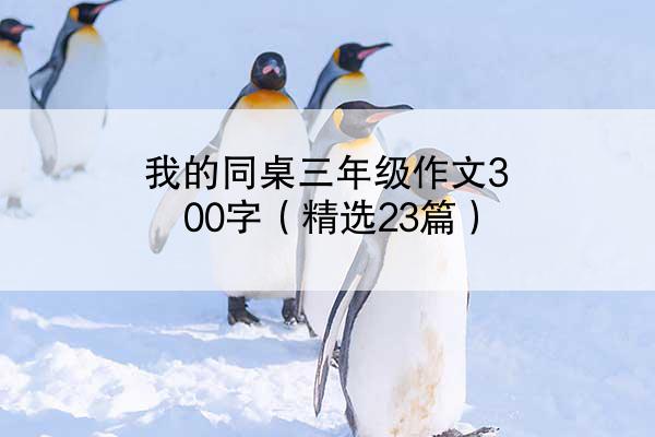 我的同桌三年级作文300字（精选23篇）