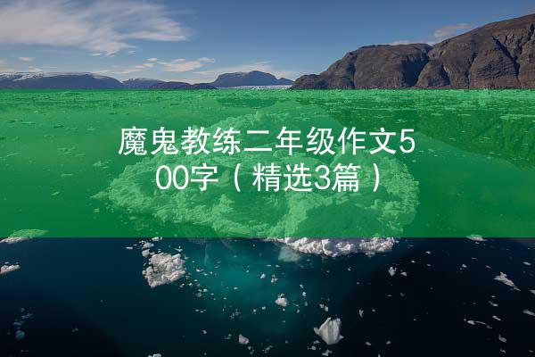 魔鬼教练二年级作文500字（精选3篇）