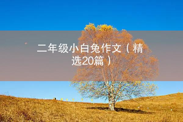 二年级小白兔作文（精选20篇）