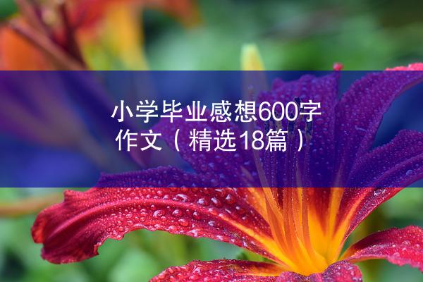 小学毕业感想600字作文（精选18篇）