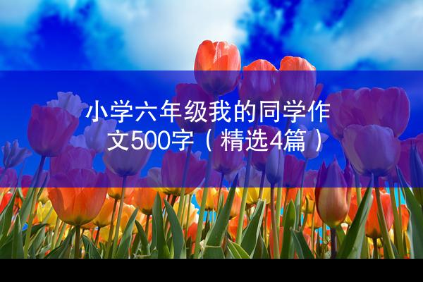 小学六年级我的同学作文500字（精选4篇）