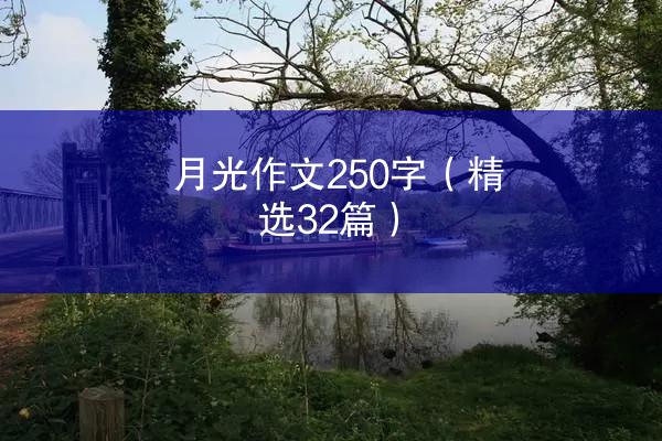 月光作文250字（精选32篇）