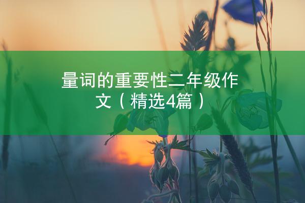 量词的重要性二年级作文（精选4篇）