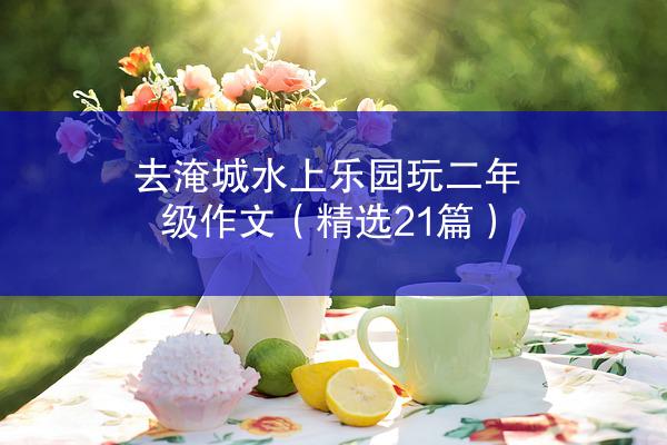 去淹城水上乐园玩二年级作文（精选21篇）