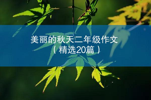 美丽的秋天二年级作文（精选20篇）