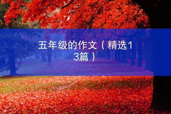 五年级的作文（精选13篇）