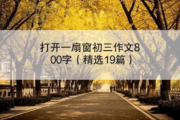 打开一扇窗初三作文800字（精选19篇）