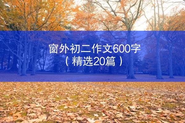 窗外初二作文600字（精选20篇）