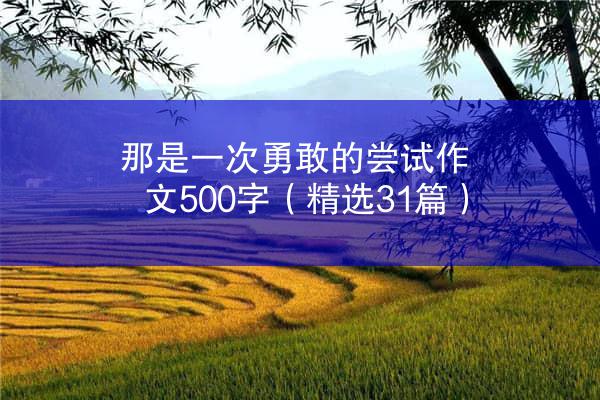 那是一次勇敢的尝试作文500字（精选31篇）