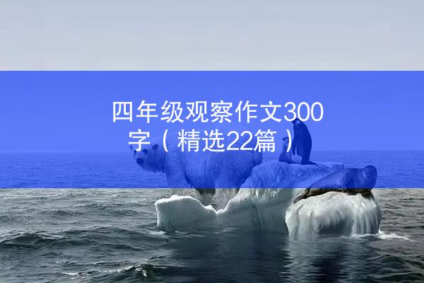 四年级观察作文300字（精选22篇）