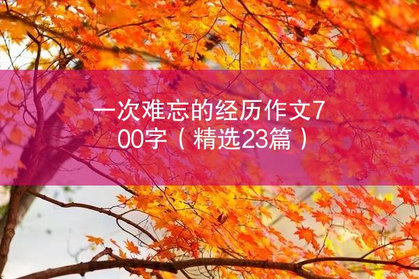 一次难忘的经历作文700字（精选23篇）