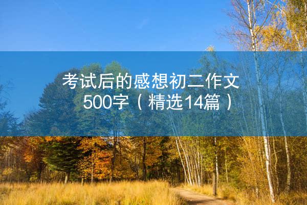 考试后的感想初二作文500字（精选14篇）