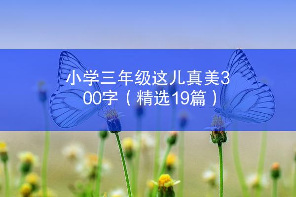 小学三年级这儿真美300字（精选19篇）