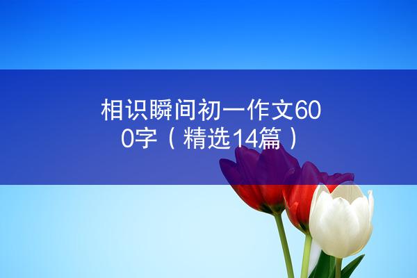 相识瞬间初一作文600字（精选14篇）