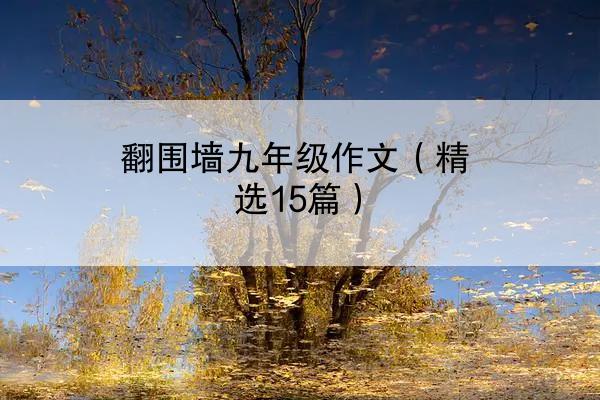 翻围墙九年级作文（精选15篇）