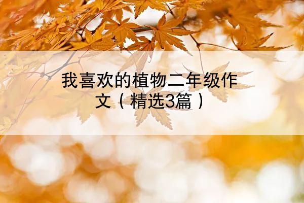 我喜欢的植物二年级作文（精选3篇）