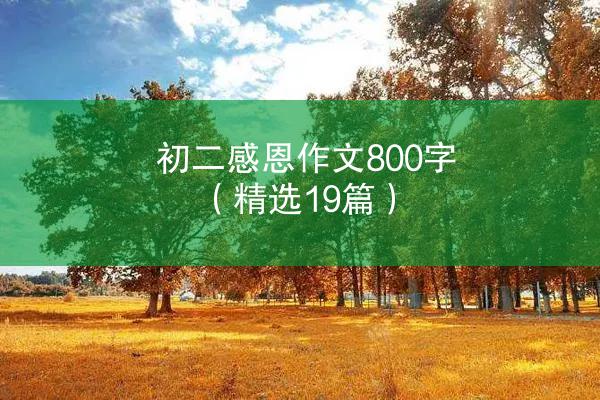 初二感恩作文800字（精选19篇）