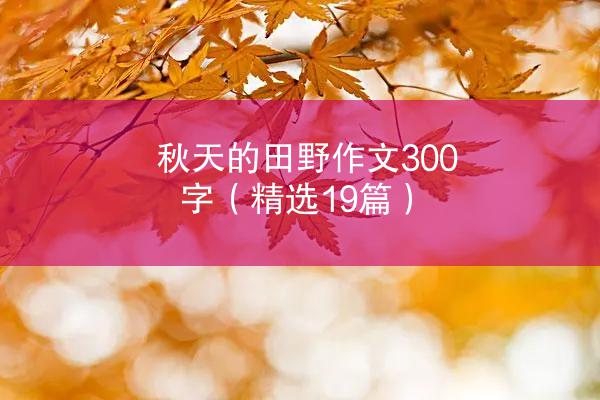 秋天的田野作文300字（精选19篇）