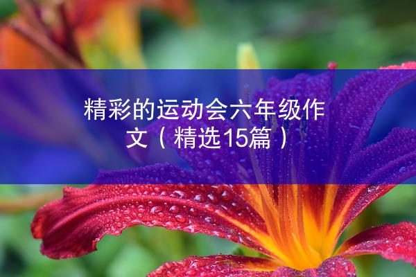 精彩的运动会六年级作文（精选15篇）