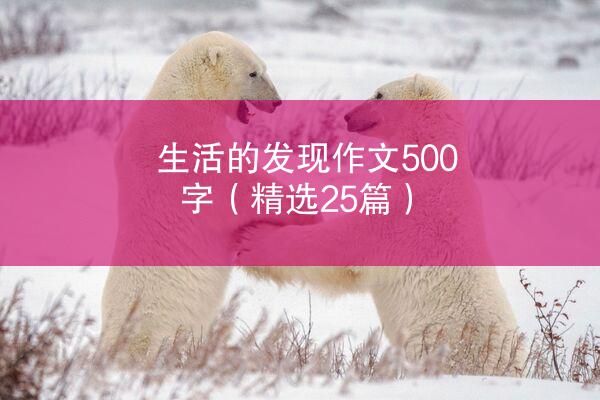 生活的发现作文500字（精选25篇）