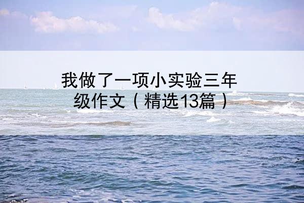 我做了一项小实验三年级作文（精选13篇）