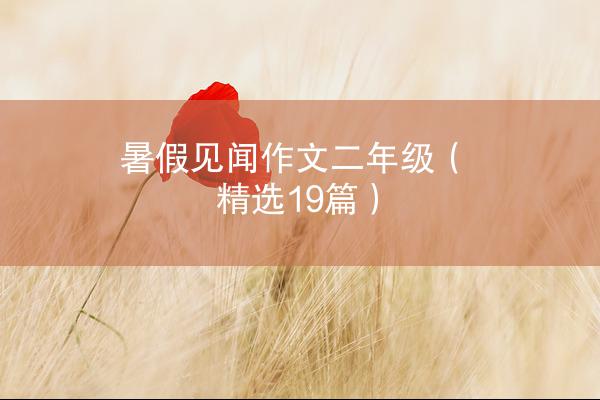 暑假见闻作文二年级（精选19篇）