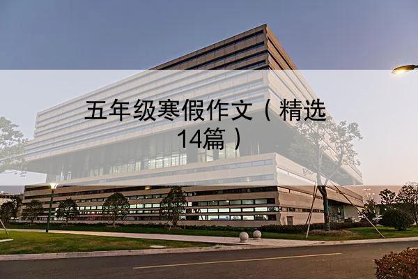 五年级寒假作文（精选14篇）