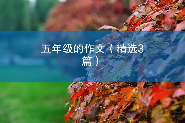 五年级的作文（精选3篇）