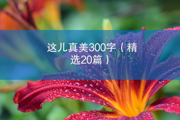 这儿真美300字（精选20篇）