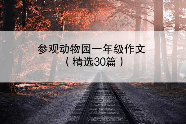 参观动物园一年级作文（精选30篇）