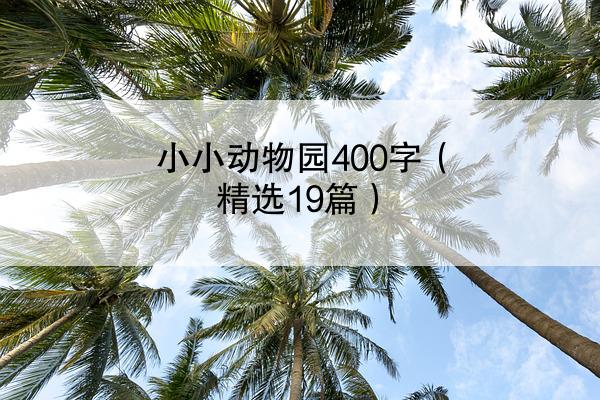 小小动物园400字（精选19篇）